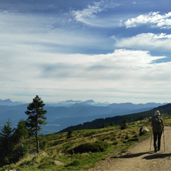 AAT Austria
