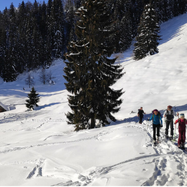 Julian Alps
