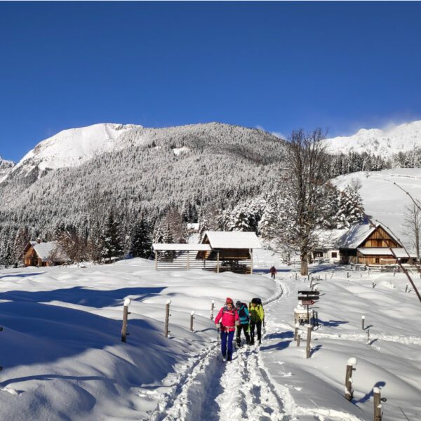 Julian Alps