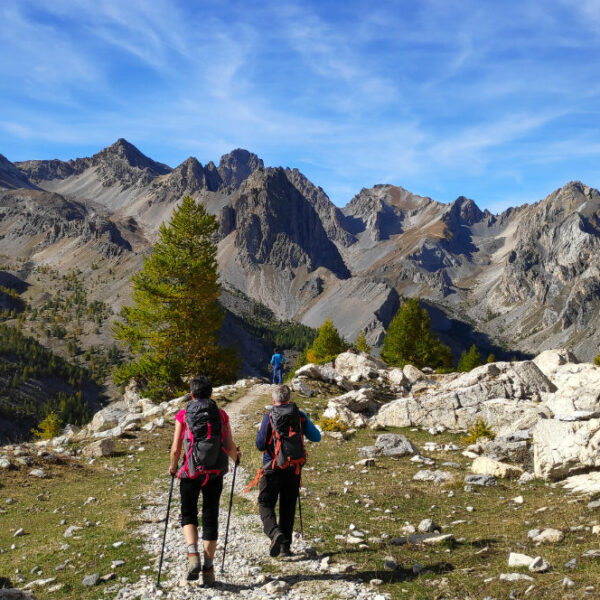 Kotijske Alpe treking edlothia 14 V jeseni se macesni počasi odenejo v zlate barve.