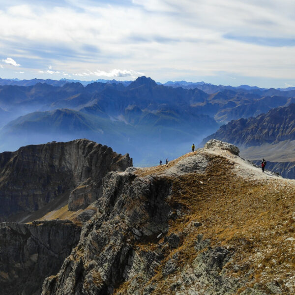 Kotijske Alpe treking edlothia 16 Razsežnost Kotijskih Alp. Pogled iz enega izmed lažje dostopnih tritisočakov.