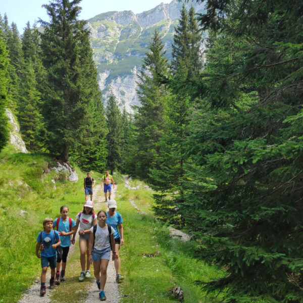 Planinski izlet Krnska jezera Iz Lepene proti Krnu