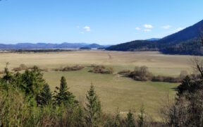RS4_1280x720 RS4_1280x720