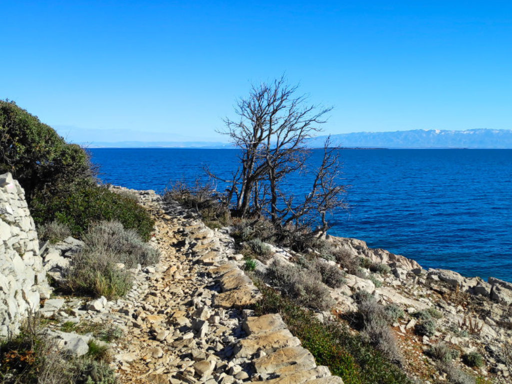 Lošinj