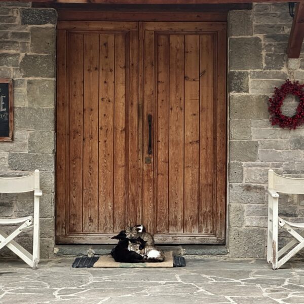 WhatsApp Image 2025-11-25 at 05.49.50