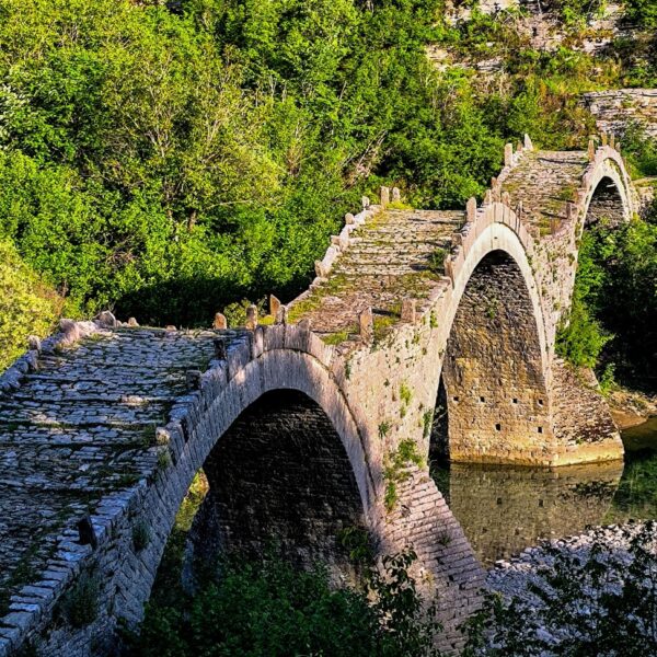 WhatsApp Image 2025-11-25 at 05.53.00