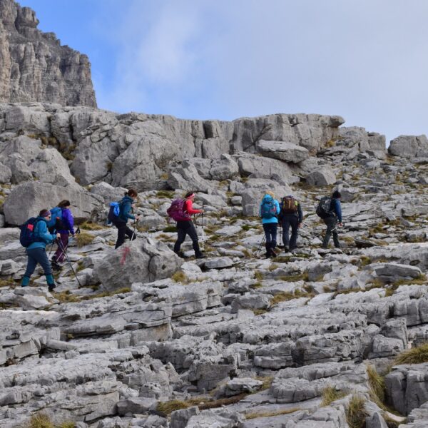 WhatsApp Image 2025-11-25 at 05.54.13