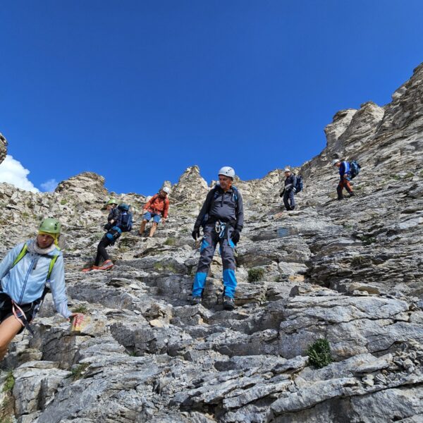 WhatsApp Image 2025-11-25 at 05.56.13