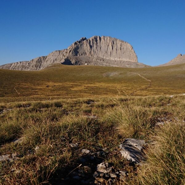 WhatsApp Image 2025-11-25 at 05.57.02