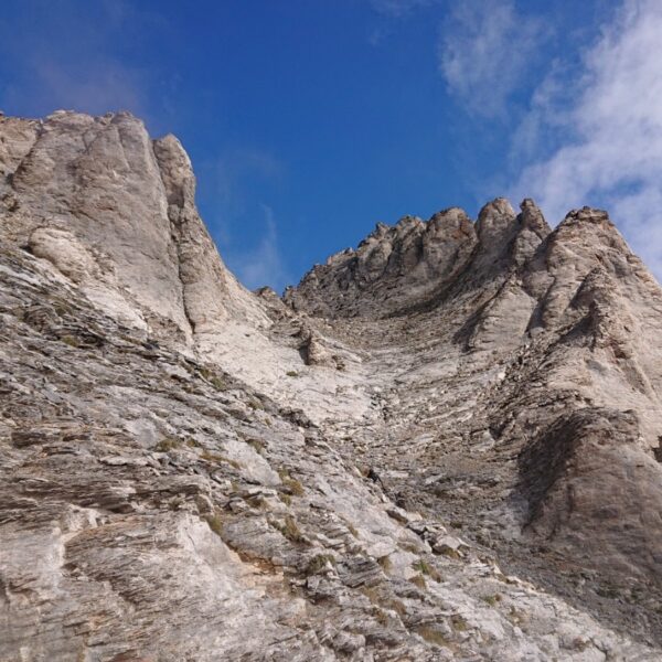 WhatsApp Image 2025-11-25 at 05.57.03