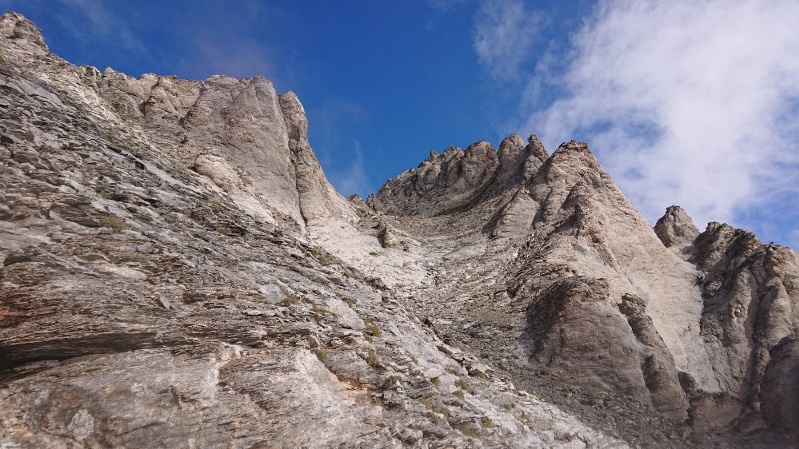 WhatsApp Image 2025-11-25 at 05.57.03