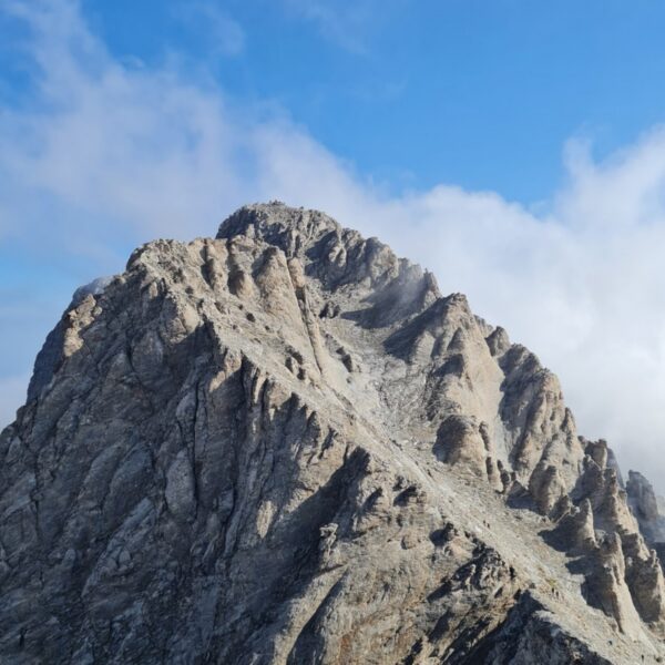 WhatsApp Image 2025-11-25 at 05.57.04