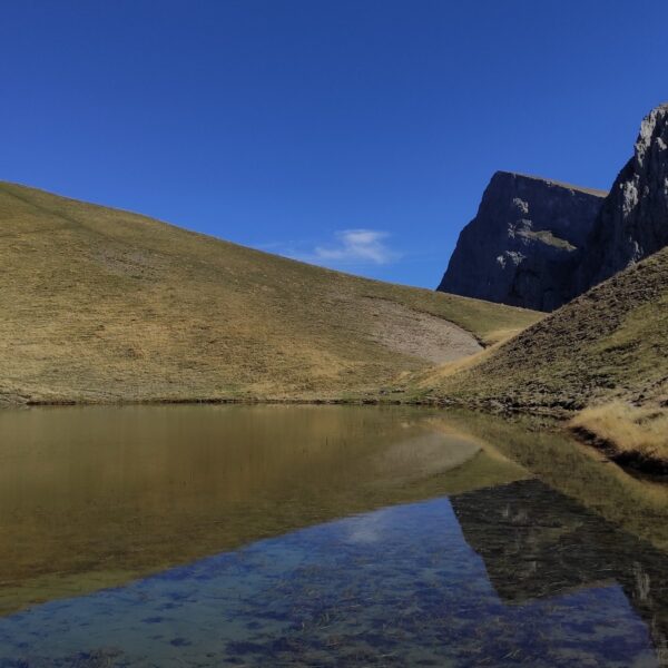 WhatsApp Image 2025-12-01 at 09.53.43