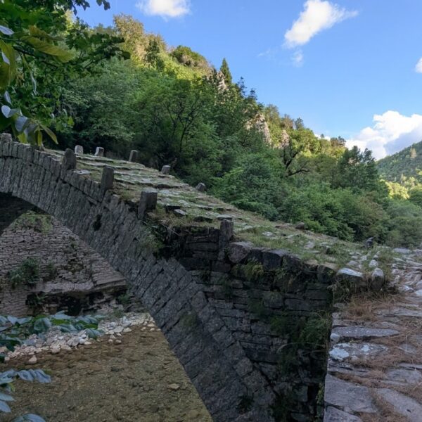 baccy_WhatsApp Image 2025-11-25 at 05.51.49