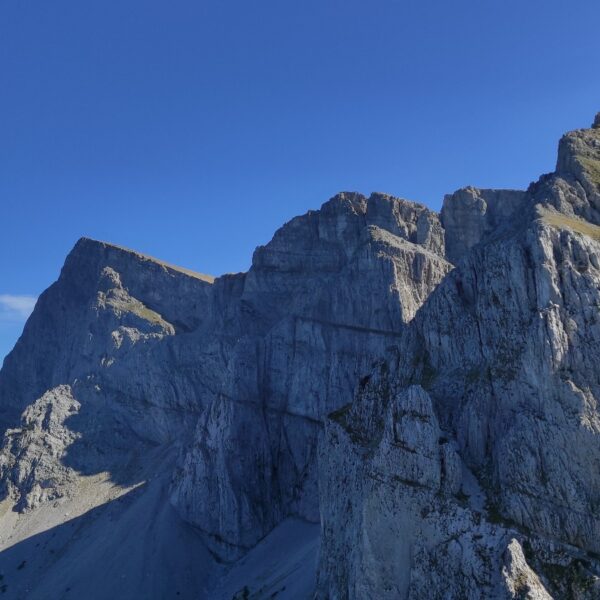 tcveh_WhatsApp Image 2025-12-01 at 09.53.43